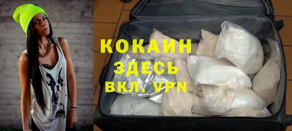 стаф Алзамай