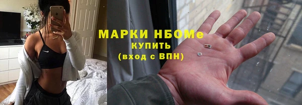 стаф Алзамай