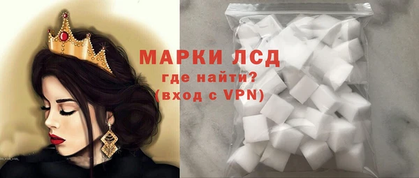 стаф Алзамай