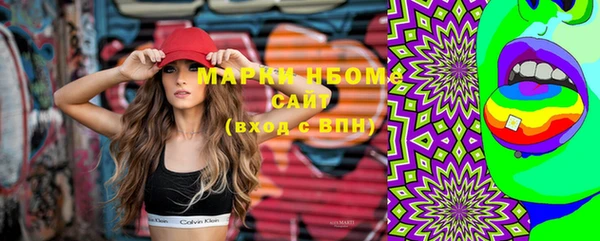 стаф Алзамай