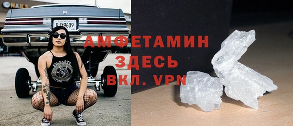 стаф Алзамай