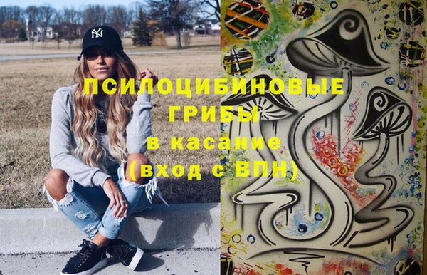ГАЛЛЮЦИНОГЕННЫЕ ГРИБЫ Алексеевка