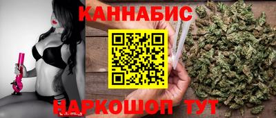 СК Дубна