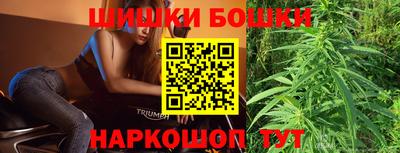 СК Дубна