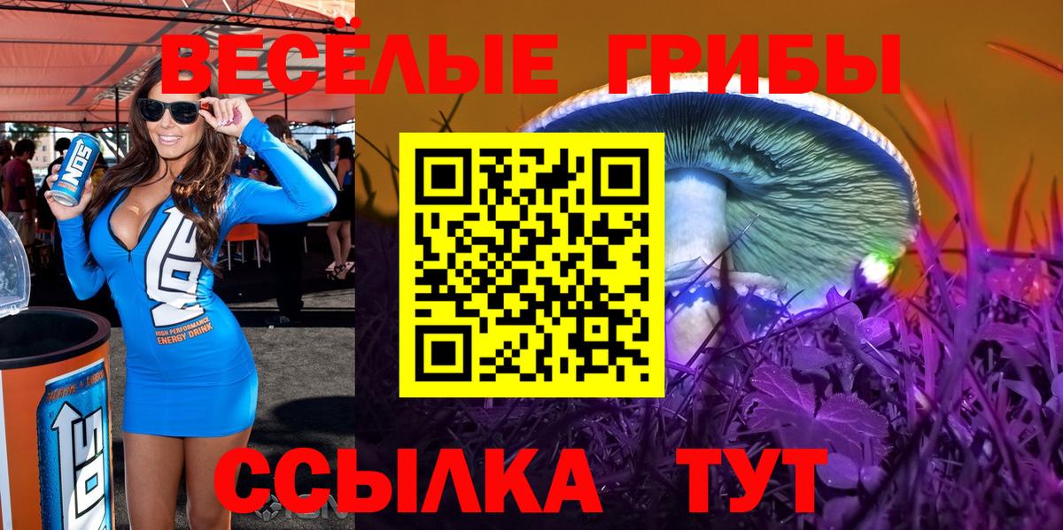 Лесосибирск  купить наркотик  Вход с VPN  Галлюциногенные грибы мухоморы 