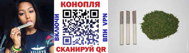 Шишки марихуана марихуана Лесосибирск